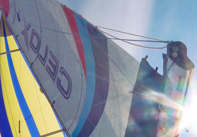 Segel der Firma Celox Sailing